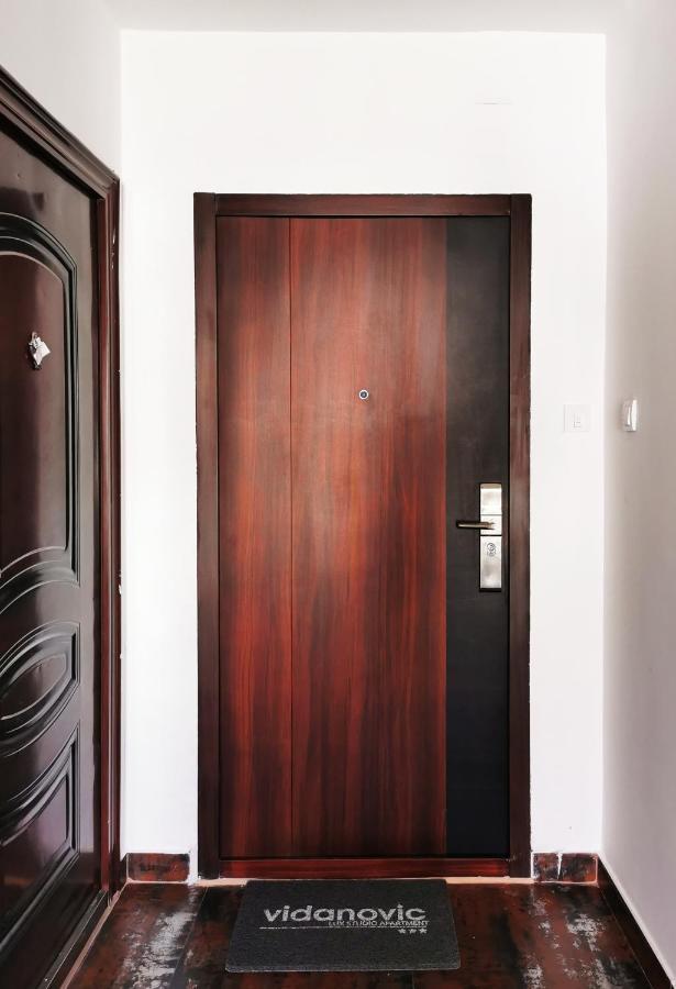 Lux Family Apartment Vidanovic ピロト エクステリア 写真