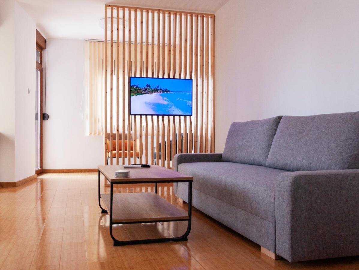 Lux Family Apartment Vidanovic ピロト エクステリア 写真