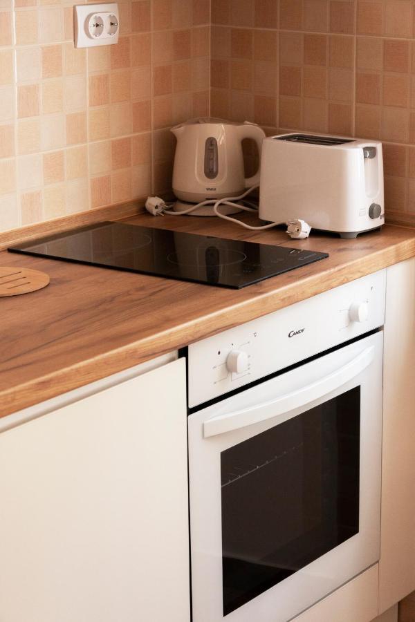 Lux Family Apartment Vidanovic ピロト エクステリア 写真